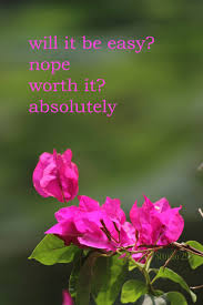 People from a planet without flowers would think we must be mad with joy the whole time to have such things about. Bougainvillea Flowers Inspirational Quotes For 2018 Beautiful Flowers Beautiful Flowers With Quotes F Flower Quotes Inspirational Quotes Good Tattoo Quotes