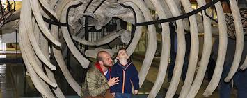 Aquarium Museum Luik Kennismaken Met Dieren Uit De Hele Wereld Museum Aquarium Luiken