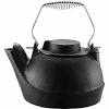 Cast iron teapots can be used in the same way that you would any other teapot. 1