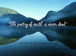 24 Of The Most Beautiful Quotes About Nature Mother Nature Quotes Nature Quotes Adventure Nature Quotes