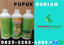 Hub O823 2292 499o Jual Pupuk Buah Durian Montong Di Semarang Agen Pupuk Durian Musang King Buah Pupuk Organik Semarang