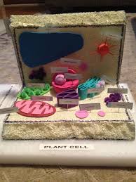 Cell Model Shoebox How To Make A 3d Plant Cell Model Out Of Household Items Plant Cell Made Out Of A Shoebox Plant Cell Project Plant Cell Plant Cell Model