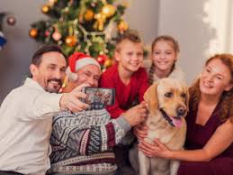 Euthanasia appointments in your home. The Surprising Reason Pet Euthanasia Increases During The Holidays Drandyroark Com