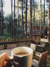 Retreat Calm Relaxing Inspiration Love Woods Forest Outdoor Morning View Nature