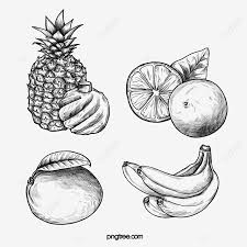 Download now tangan berwarna hitam dan putih buah buahan sketsa garis lukisan. Gambar Barisan Tangan Buah Buahan Tropika Buah Buah Tropisnya Food Png Dan Psd Untuk Muat Turun Percuma
