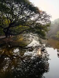 Borivali National Park picnic. 🫶