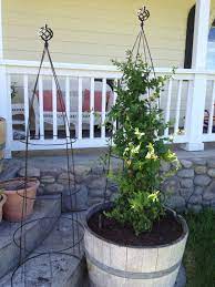 Pin By Ann Zaccaria On Outside My House Diy Trellis Diy Garden Trellis Garden Trellis
