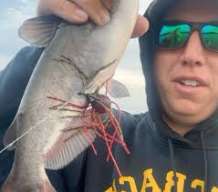 Jr is the sammich, That Nekorama, Bismuth jigs next?