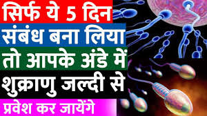 Pregnancy Kab Hoti Hai Mc Ke Kitne Din Baad Pregnant Hoti Hai In Hindi