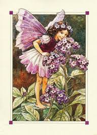 Pin By Susan Lawrence On Projects To Try Flower Fairies Fairy Illustration Fairy Pictures