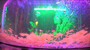 The (/ ð ə, ð iː / ()) is a grammatical article in english, denoting persons or things already mentioned, under discussion, implied or otherwise presumed familiar to listeners, readers or speakers. Haunted Car Wash Youtube
