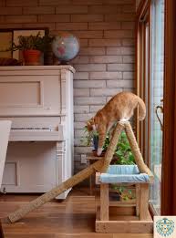 When making an indoor cat an outdoor cat, try to account for these pressures as much as possible. Indoor Cats Enrichment Information Q A Aztec Animal Clinic