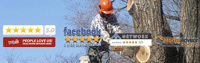 Get bbb ratings and read consumer reviews and complaints by people in your community. Reviews Btr Berumen Tree Removal 847 431 0454