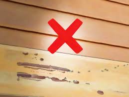 how to get rid of tiny ants (with