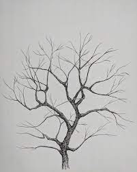 Draw shade under the tree. Tree Drawing I Love Seeing Them With No Leaves This Time Of Year Drawing