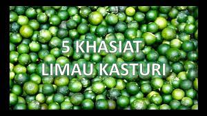 Alibaba.com offers 797 limau kasturi products. Dahsyat 5 Khasiat Limau Kasturi Video Dailymotion