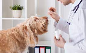 Pet meds are cheaper online from vetuk. Is It Safe To Buy Pet Medications Online Shallowford Animal Hospital
