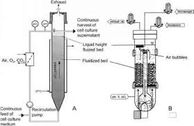 We did not find results for: Fluidized Bed Bioreactors Mammalian Cells Click To Cure Cancer