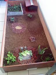 Parfait Terrarium Tortue Terrestre Fait Maison And Photos En 2020 Terrarium Tortue Terrarium Tortue Terrestre Terrarium Tortue De Terre