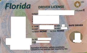 If you lose your florida id card or driver's license before it expires, you can get a replacement card. Florida Fake Id Best Scannable Fake Ids From Idgod