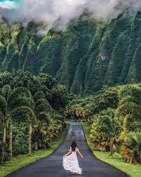 Now Discovering The Ho Omaluhia Botanical Garden In Oahu Hawaii With Katrinathi Situated At 45 680 Luluku Hawaii Pictures Hawaii Photography Hawaii Travel