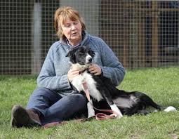 We did not find results for: Freedom Of Spirit Trust Border Collies Rescue Centre Builds On Success And Seeks Premises To Expand Bradford Telegraph And Argus