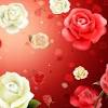 This photo is about season, spring, spring flower Https Encrypted Tbn0 Gstatic Com Images Q Tbn And9gctn9zzjvziwbxabhe8nr5cf1gznsj3vhfxbdqkjhbanrcyjym1z Usqp Cau