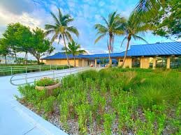 8 Siesta Key Florida Water Temperature Images, Stock Photos, 3D Objects, &  Vectors | Shutterstock