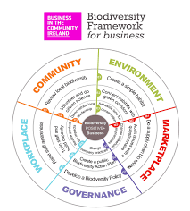 Our New Biodiversity Framework F Business Diagrams