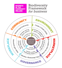 our new biodiversity framework f business diagrams