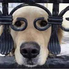 Durand Jones & The Indications