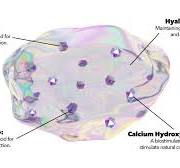 What is CaHA Skin Booster? - Dr D Aesthetics Medical Clinic ...