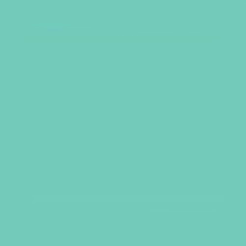 2021 Color Of The Year Light Aqua Green Bluestar Brand Icon Icon Design Blue Paint