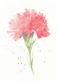 Carnation January Birth Flower Tattoo Watercolor Flowers Flower Painting Flower Art