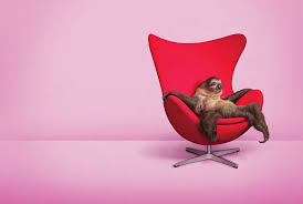 This may contain material that will shock or offend, its not a stunt or  some attempt at a trend. There are no rules only