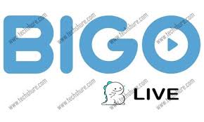 Bigogif for bigo live will helps you to resolve this problem. Bigo Live Bigo On The App Store Registration And Live Stream Techshure