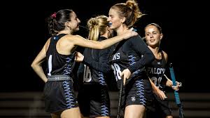 Image result for Emilia hockii