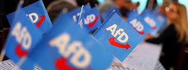 Ein blick hinter die kulissen! Kommentar Uberwachung Der Afd Kein Allheilmittel Mdr De