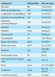Image result for Liver Function Test