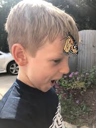 Amanda McGahee, M.D.