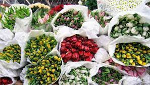 Family owned and operated since 1986, we're proud to serve both the public and trade alike out of our conveniently located chesapeake, va store. Riga Flower Market In Moscow My Guide Moscow