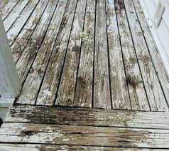 Rustoleum Restore Deck Renew Paint Reviews Coating Encore 4x