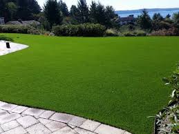 Biasanya, ini dilakukan supaya tanaman terhindar dari genangan air 5. Rumput Sintetis Taman Dan Dinding Urban Garden