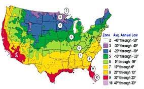 Cherokee, maggie valley, little switzerland. Understanding Your Growing Zone For A Bountiful Harvest Plant Zones Planting Zones Usa Gardening Zone Map