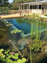 Our Projects Natural Swimming Pools Australia Natural Swimming Pools Swimming Pond Natural Swimming Ponds