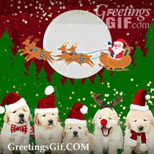 Check spelling or type a new query. Merry Christmas Gif 1067 Greetingsgif Com For Animated Gifs