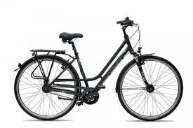Gudereit Comfort 7 0 Damen Fahrrad Richter Gmbh