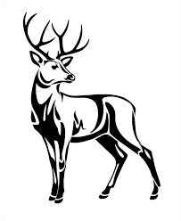 Stag deer head sketch graphic design. Deer Spirit Animal What Does It Symbolize Mysticurious