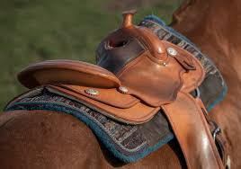 Wir empfehlen euch lammfell in einer von. Western Pad Ss21 Navajo 3 Pockets Mattes