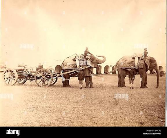British elephant battery hi-res stock photography and images - Alamy
